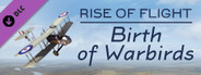 Rise of Flight: Birth of Warbirds
