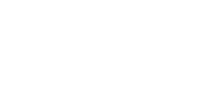 Metalstorm Logo