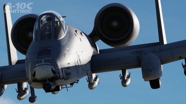 Скриншот из DCS: A-10C Warthog