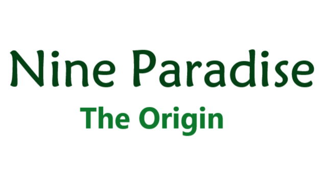 Nine Paradise: The Origin Logo
