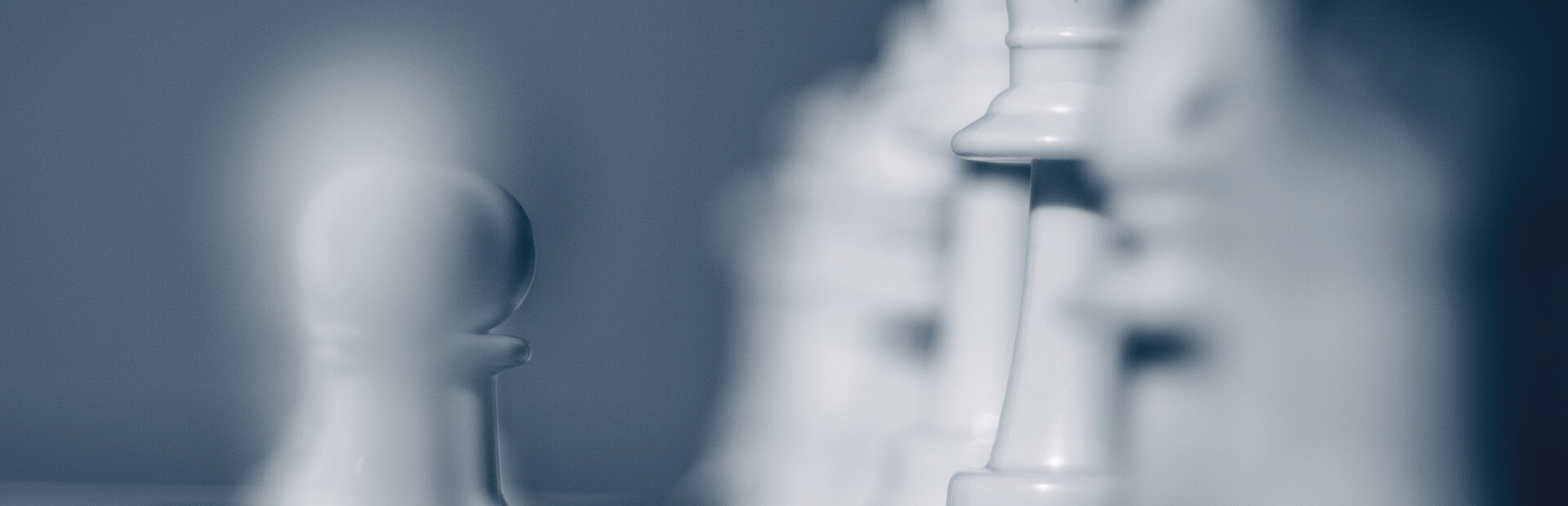 Fritz - Your chess coach