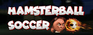 HamsterBall Soccer System Requirements