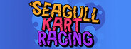 Seagull Kart Racing System Requirements