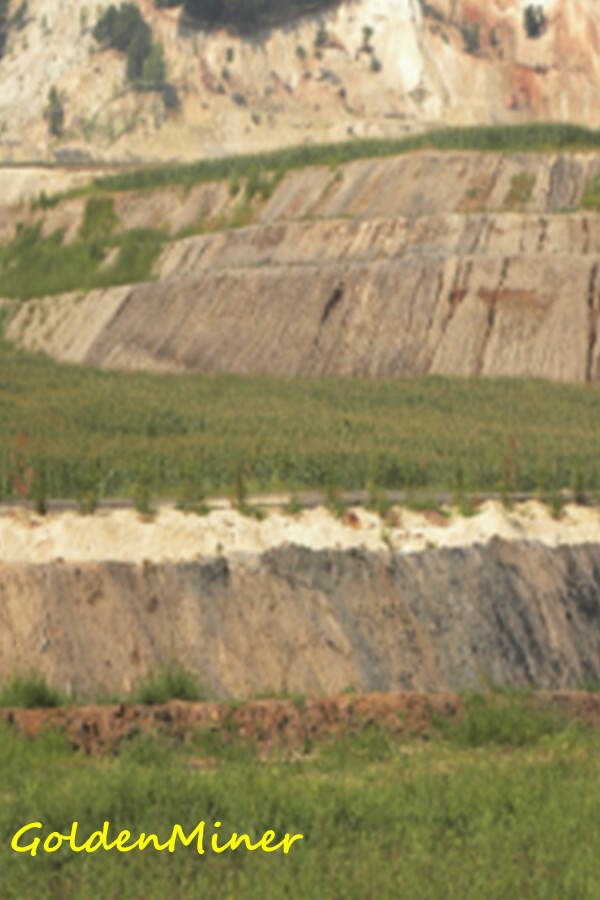 GoldenMiner for steam