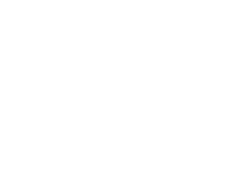 Flow State - Max Chill Edition Logo