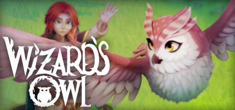 Wizards Owl: Magic Delivery PC Specs