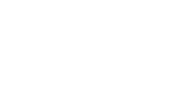 Wizards Owl: Magic Delivery Logo
