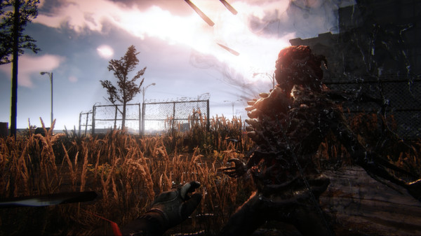 Nether: Resurrectedfor windows and Linux 1