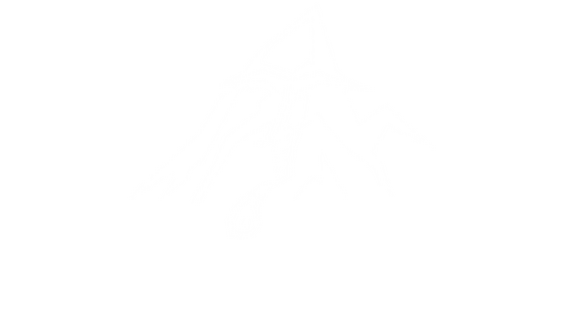 Team Rise Logo