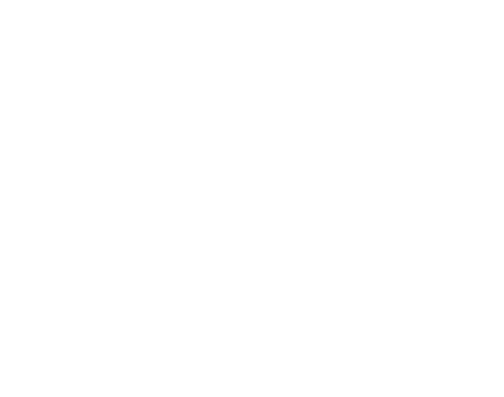 Boreas Logo