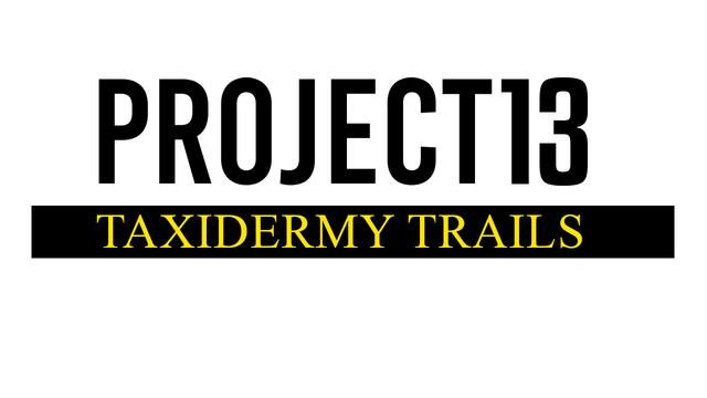 Project 13: Taxidermy Trails Logo