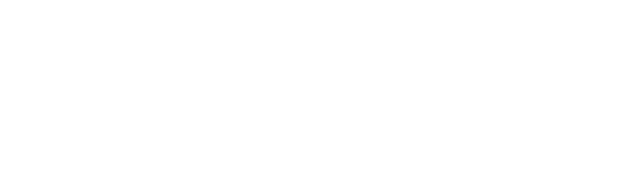 Master The Sky - Drones Unleashed Logo