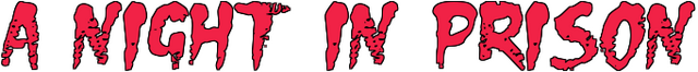 A Night in Prison Logo