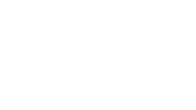 Bonfire Kingdom Logo