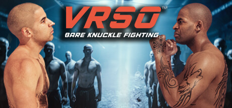 VRSO: Bare Knuckle Fighting PC Specs