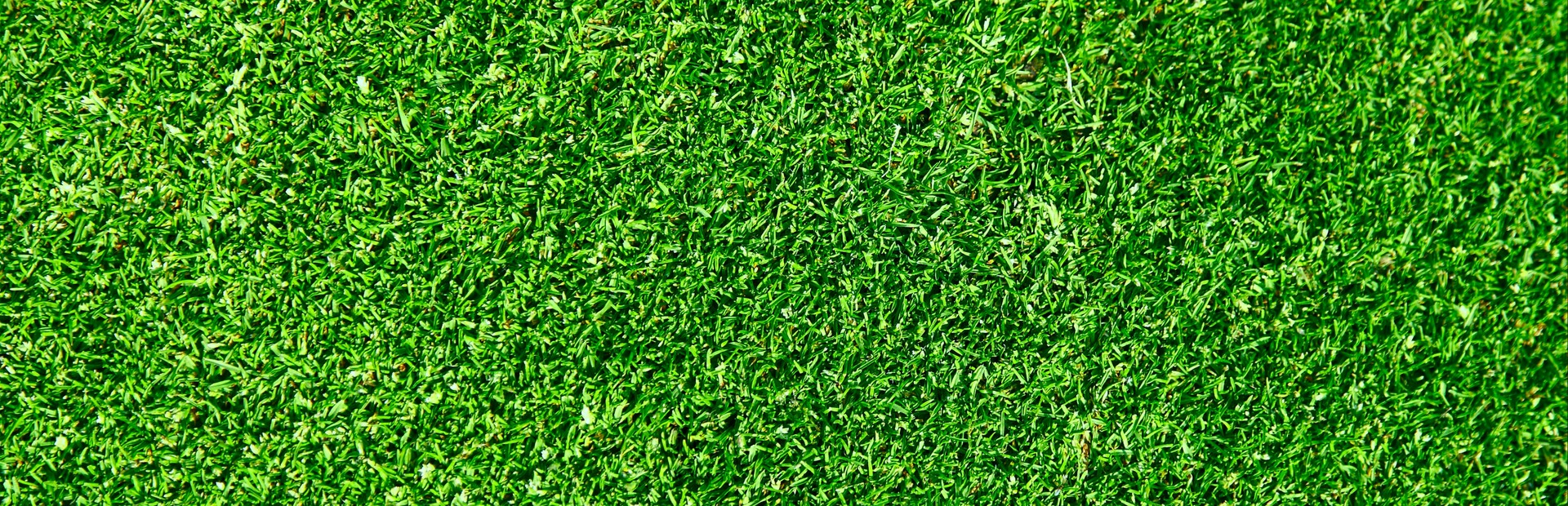 Rotting Rumble: Zombie Football