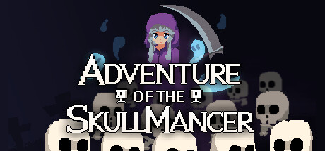 Adventure of the Skullmancer cover art