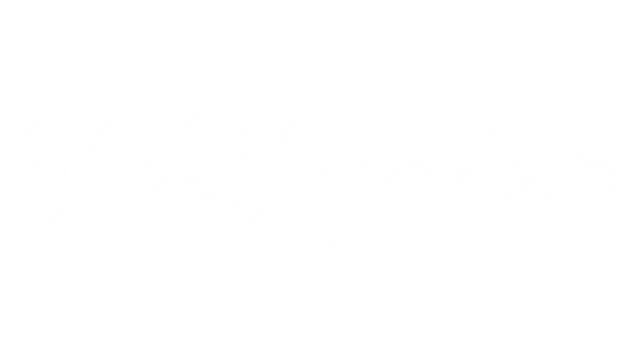 Hook Adventure Logo