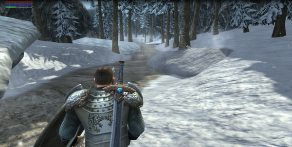 Ravensword: Shadowlands Steam