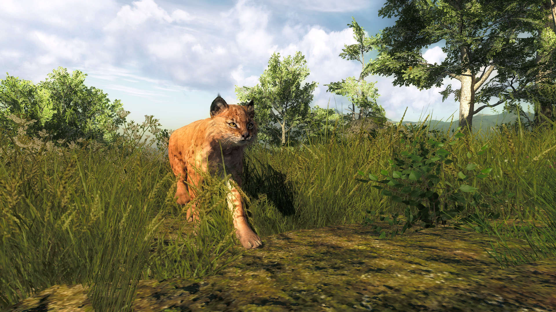 theHunter: Call of the Wild System Requirements - Can I Run It? -  PCGameBenchmark