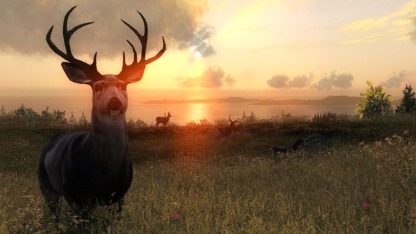 theHunter Classic game for windows Pc 1