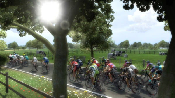 Pro Cycling Manager 2014 screenshot