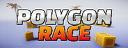 Polygon Race