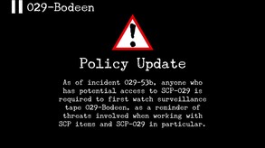 Surveillance Tape 029-Bodeen