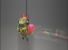 Pinata v1