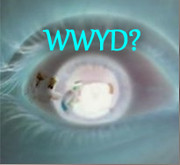 What Would You Do?
