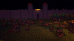 Teaser