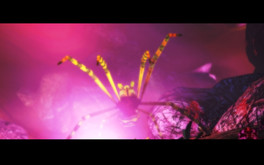 Release Trailer