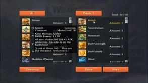 Wizard King Game Play