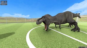 Soccer