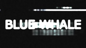 Blue Whale - Release trailer
