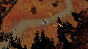 Fallen Mage Video