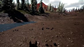 0.2