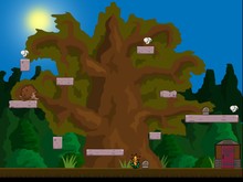 hedge