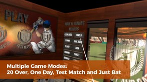 Balls! Virtual Reality Cricket Game