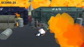 peaceduck