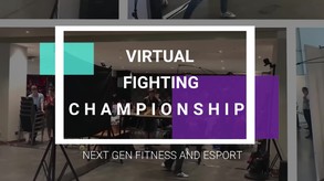 Virtual Fighting Championship (VFC)