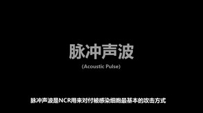 生命之旅-游戏截图