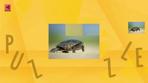 Game Of Puzzles： Animals-游戏截图