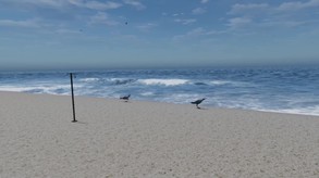 Beach Relaxation VR