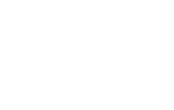 Boki: The Summit Logo