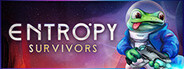 Entropy Survivors System Requirements