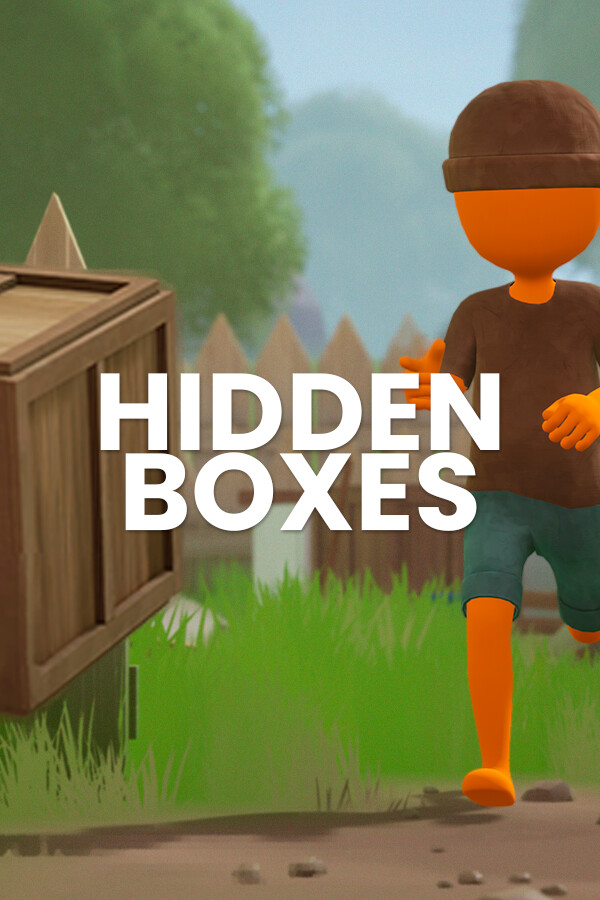 Hidden Boxes for steam