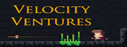 Velocity Ventures System Requirements