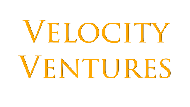 Velocity Ventures Logo