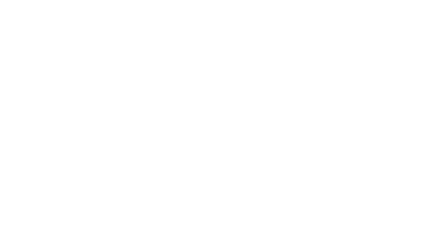 NIGHT CROW Logo